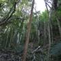 Mount Keira Scout Camp File 1