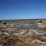 Caves Beach North