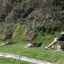 Warriewood Beach and Surf Life Saving Club