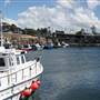 Wollongong - Foreshore and Wharf