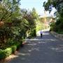 Lilianfels Resort & Darley's Restaurant