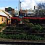Katoomba Railway Station