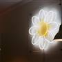 Daisy's Milkbar