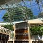 The Calyx - Royal Botanic Garden Sydney