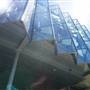 Australian Museum