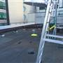 175 Pitt Street