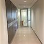 56 Pitt Street