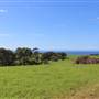 Rosebank Farm