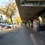 Tumut