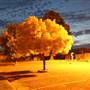 Tumut by night