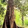 gurragawee Eco Venue