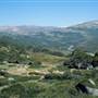 Snowy Mountains region