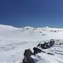 Snowy Mountains region