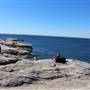 Cape Solander