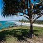 Fingal Head Lighthouse & Coastal Reserve