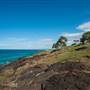 Fingal Head Lighthouse & Coastal Reserve