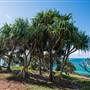 Fingal Head Lighthouse & Coastal Reserve