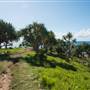 Fingal Head Lighthouse & Coastal Reserve