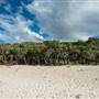 Fingal Head Lighthouse & Coastal Reserve