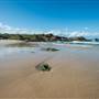 Hastings Point