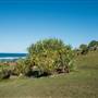 Hastings Point