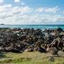 Hastings Point
