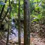 Tunsted Private Property Crystal Creek Valley