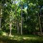 Tunsted Private Property Crystal Creek Valley