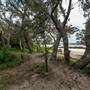 Brunswick Head Estuaries 2017
