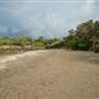Brunswick Head Estuaries 2017