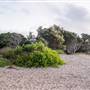 Hickey Island - Yamba