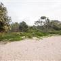 Hickey Island - Yamba