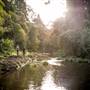 Killen Falls