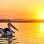 Richmond River Ballina