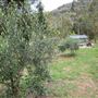 Private Property - Upper Colo