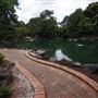 Auburn Botanic Gardens - Japanese Garden