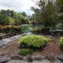 Auburn Botanic Gardens - Japanese Garden