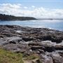 Bass Point Reserve