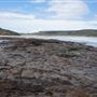 Killalea Regional Park