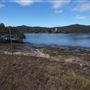 Peat Island