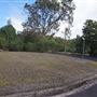 Peat Island