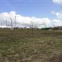 Goulburn