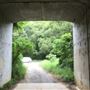 Tunnel on Tweed Valley Way