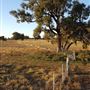 Western Focus Backdrop & Prop Studio - Mudgee Rural Location