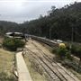 Zig Zag Railway