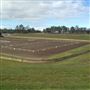 Sydney International Equestrian Centre - Office of Sport