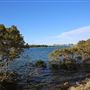 Bermagui