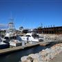 Bermagui
