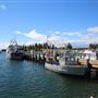 Bermagui