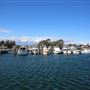 Bermagui